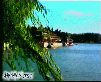 飘飘洒洒风拂柳坦坦荡荡水涟漪