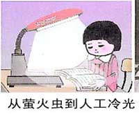 萤火虫和人工冷光
