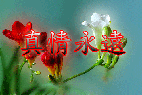 11cf64eb3b3g214.jpg
